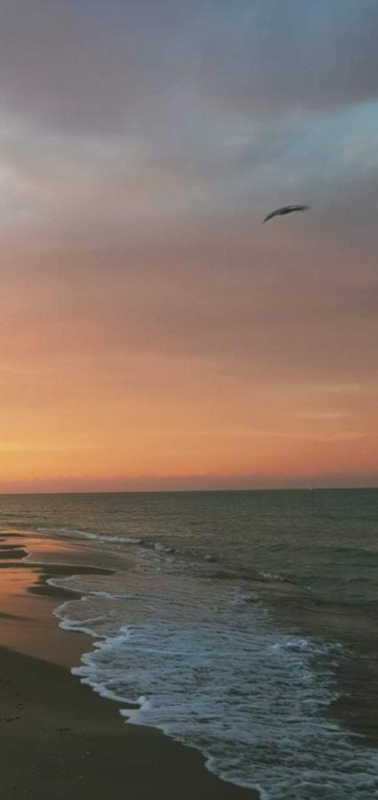 Casamare Alba Adriatica Frontemare Appartamento Esterno foto